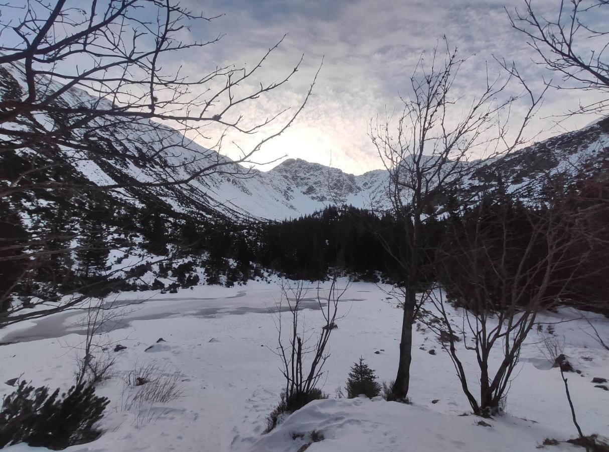 Western Tatras Slovakia Oravsky Biely Potok エクステリア 写真