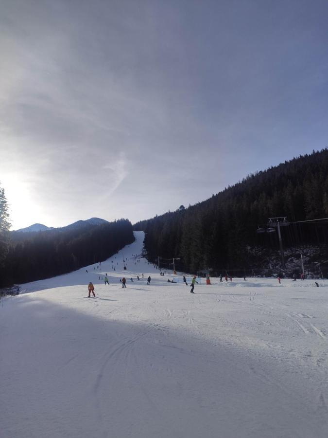 Western Tatras Slovakia Oravsky Biely Potok エクステリア 写真