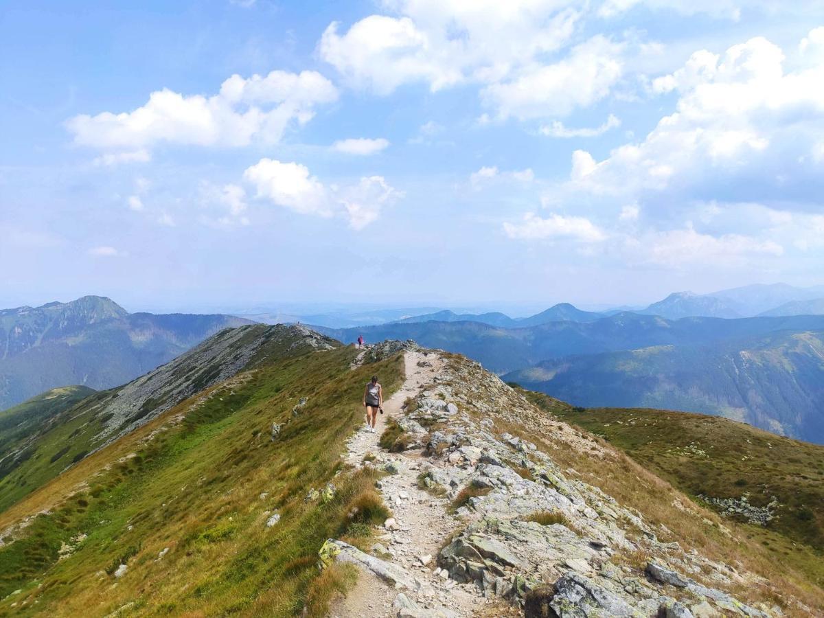 Western Tatras Slovakia Oravsky Biely Potok エクステリア 写真